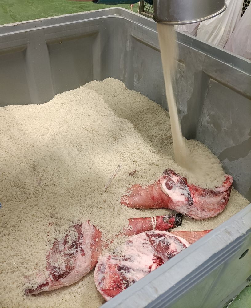 proceso de salado del jamón